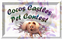 Cocos Little Angel Pet Contest