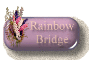 Visit Rainbow Bridge